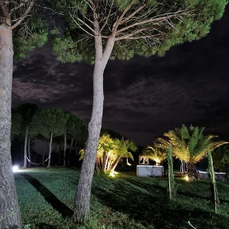 קאסטיגליונה דל לאגו Agriturismo La Pergola מראה חיצוני תמונה