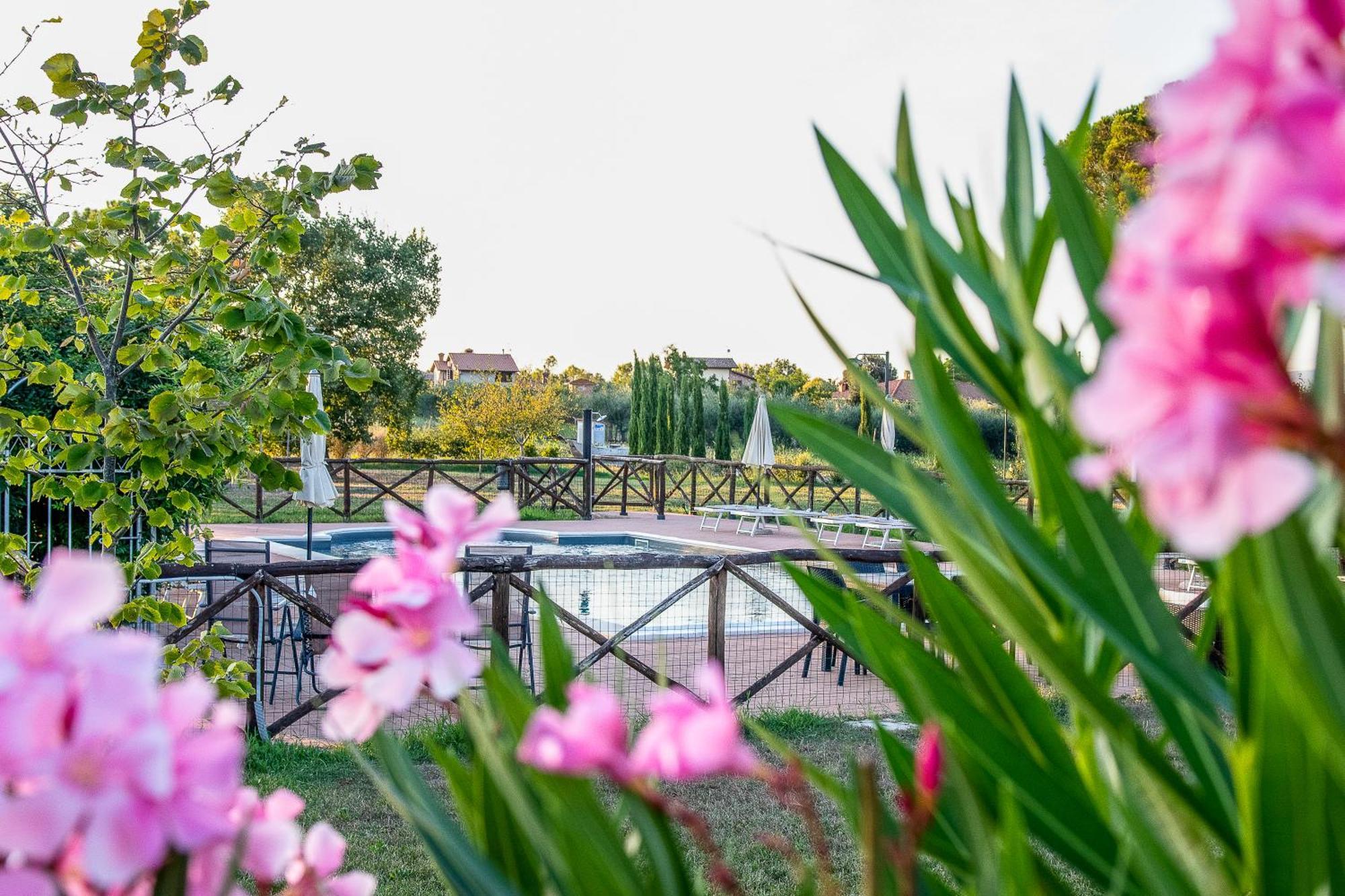 קאסטיגליונה דל לאגו Agriturismo La Pergola מראה חיצוני תמונה